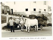 Gente di Urbisaglia104a