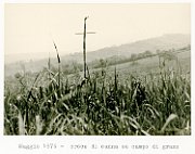 Vedute di Urbisaglia180a