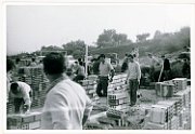 costruzione 1029a