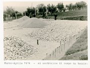 costruzione 1004a