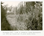 costruzione 1018b