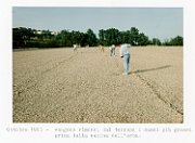 costruzione 1107a