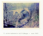 Vedute di Urbisaglia045 A