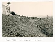 Vedute di Urbisaglia138 A