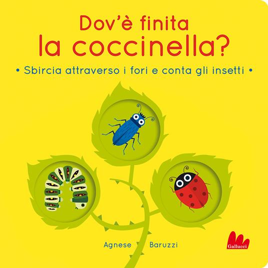 Dov'è finita la coccinella?